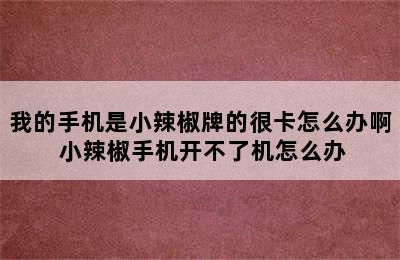 我的手机是小辣椒牌的很卡怎么办啊 小辣椒手机开不了机怎么办